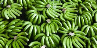 Green Banana (per doz)