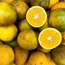 Orange (local) (Per Dozen)