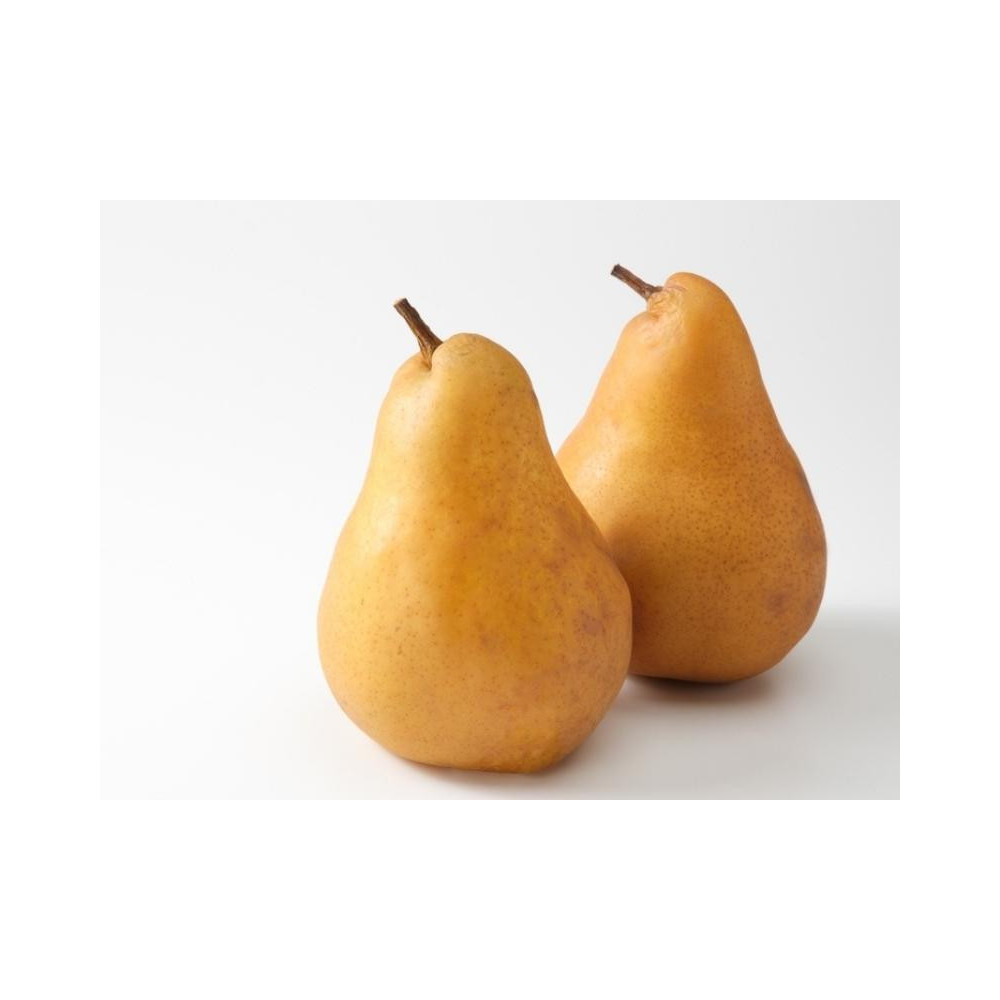 American Pear (Imported)