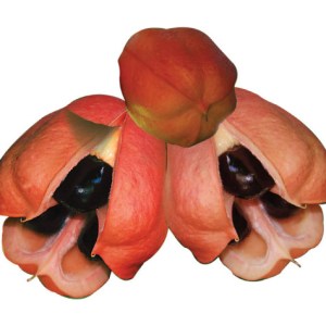 Ackee (Local)(Per Dozen)