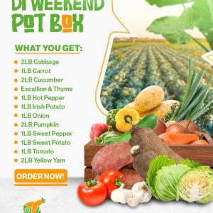 Di Weekend Pot Box