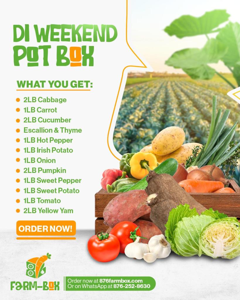 Di Weekend Pot Box