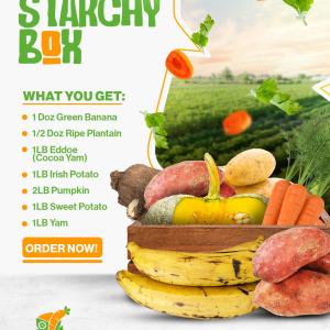 Starchy Box