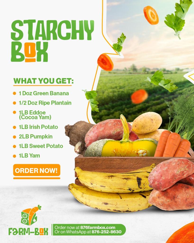 Starchy Box