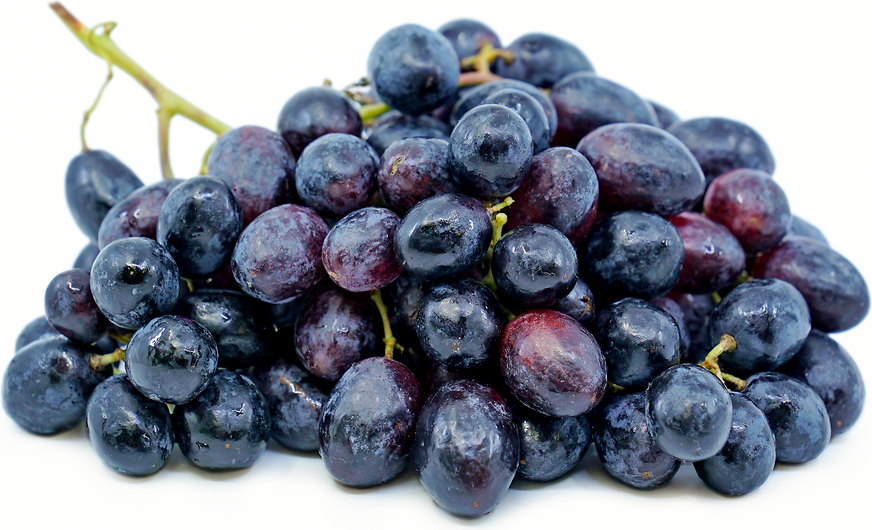 Blue Berry (Imported) (1 lb)