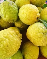 Jamaican Lemon  (1 doz)