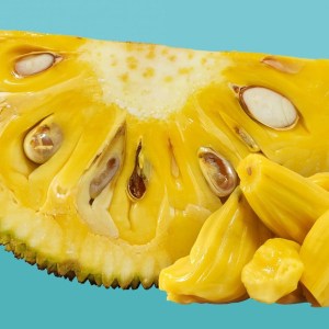 Jamaican Jackfruits (1 Slide)